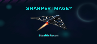 Stealth Recon Screenshot 1 of 3