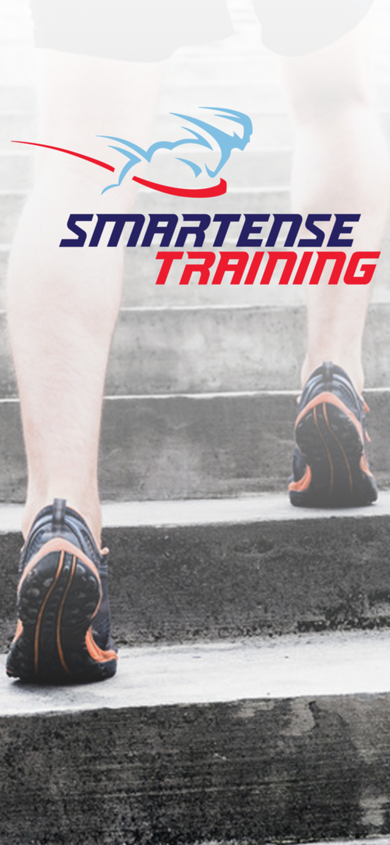 SmarTense Training