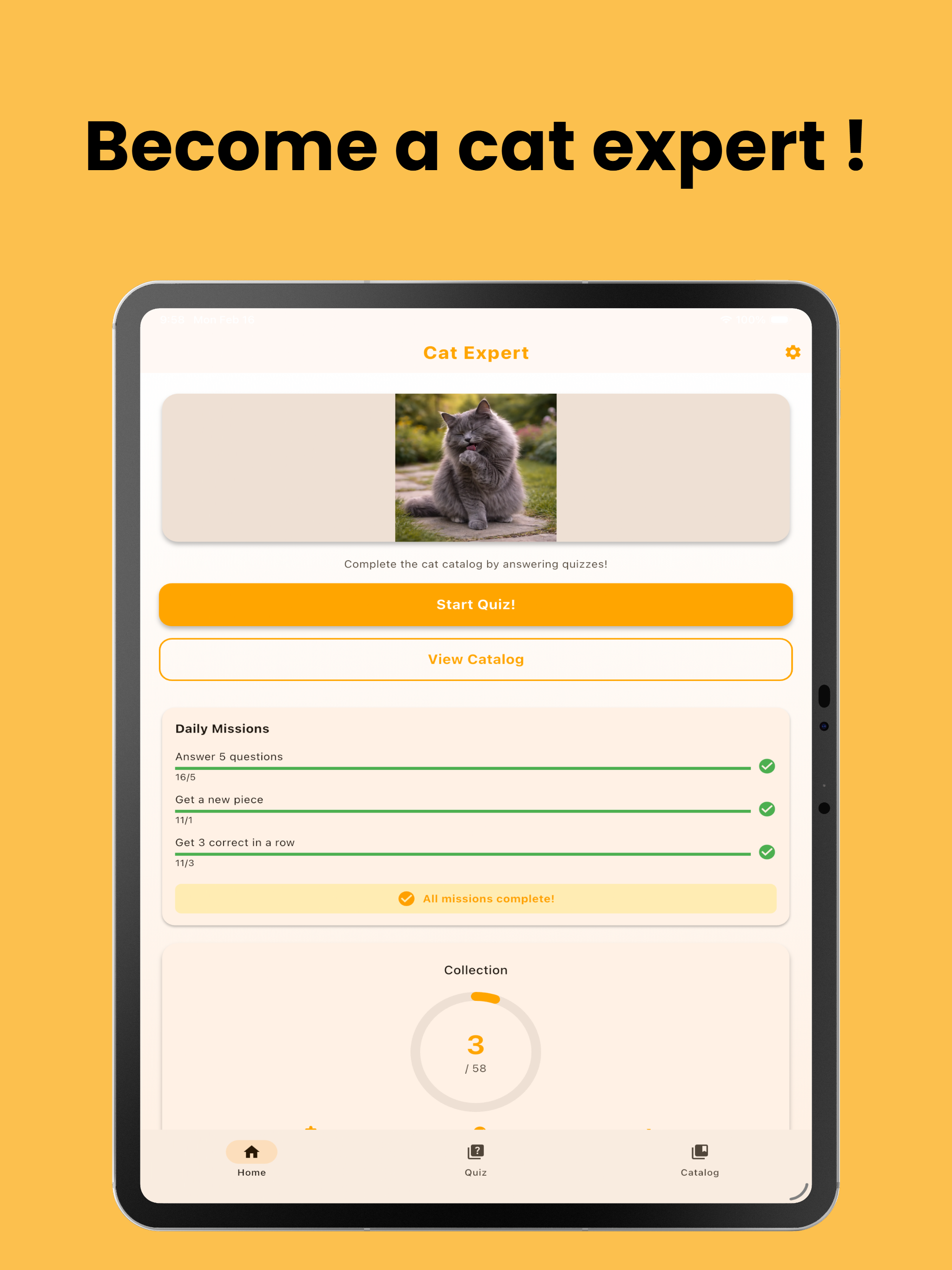 Cat Expert Academy screenshot 6