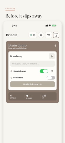 Brindle: ADHD Brain Dump screenshot