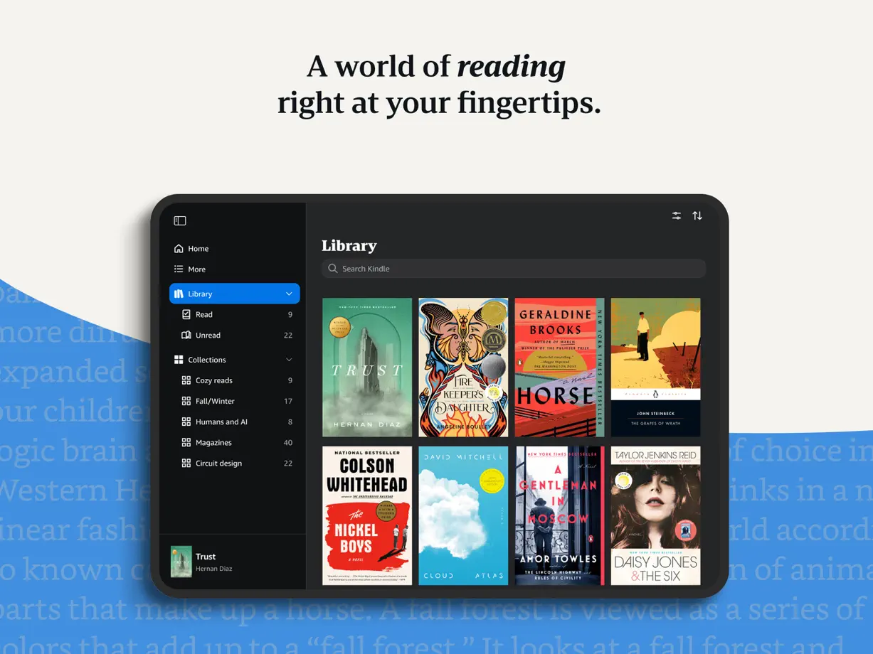 Amazon Kindle iPad screenshot 1