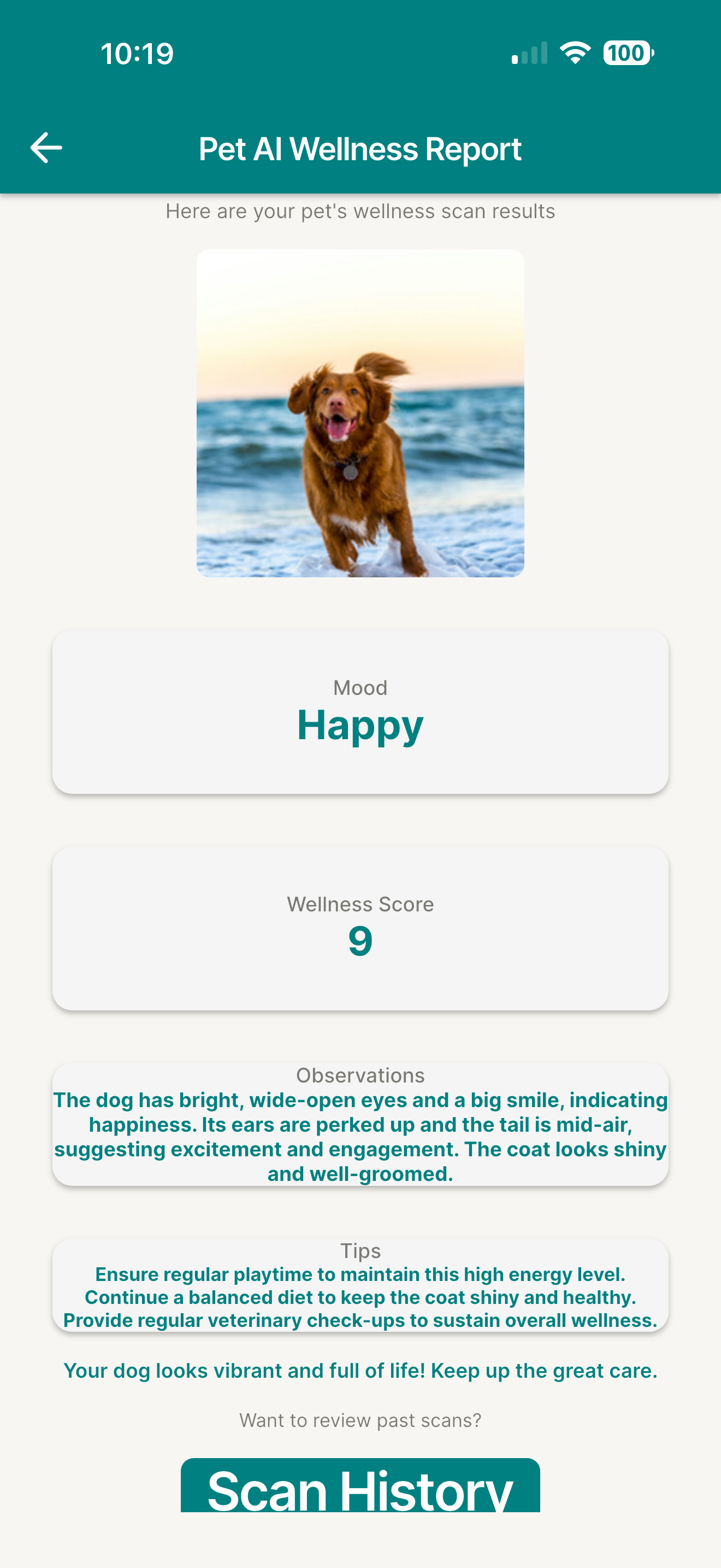 Pet AI Wellness screenshot 3