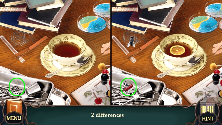 Mystery Hotel: Hidden Objects