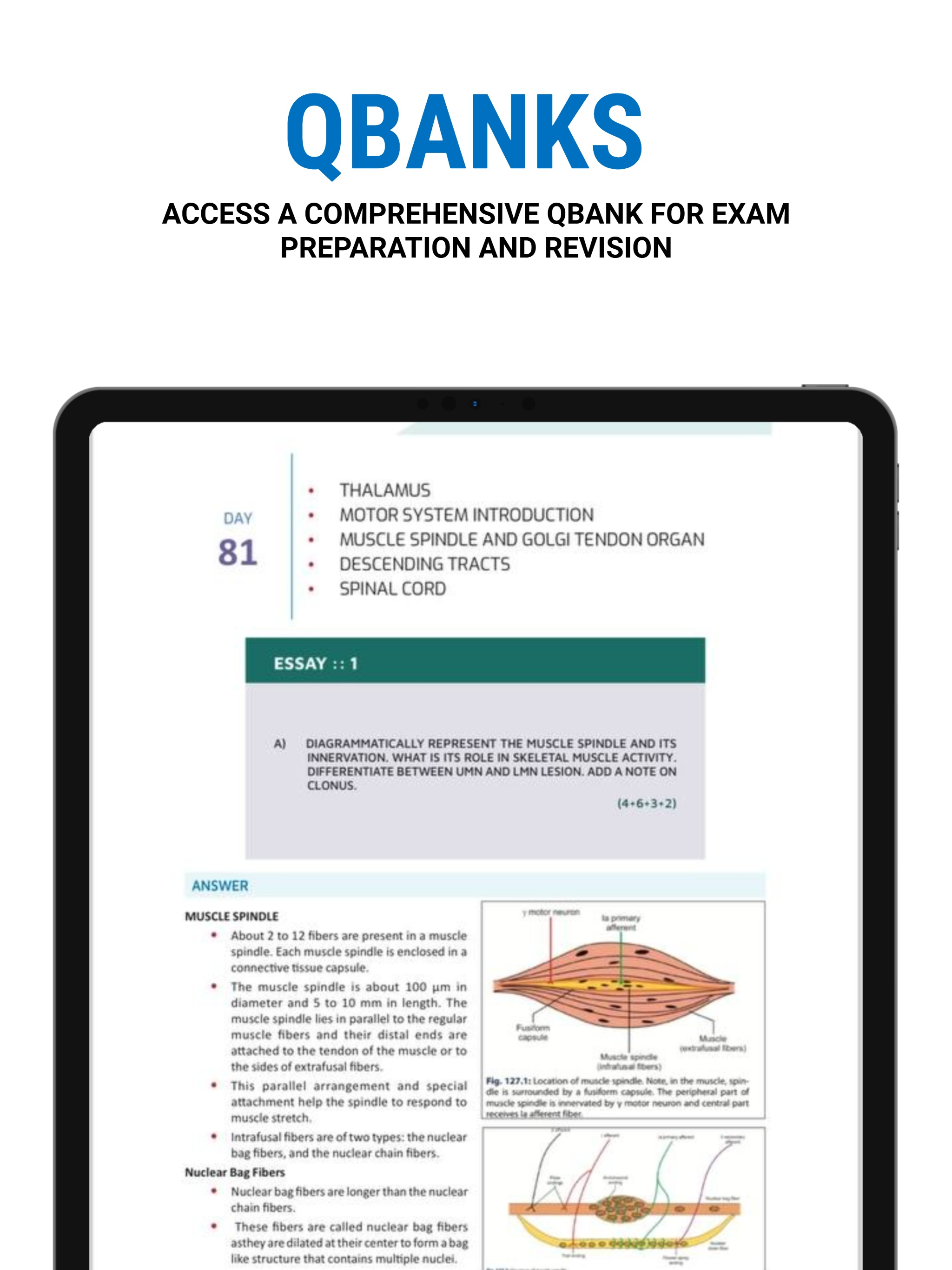 FOVEA LEARNING