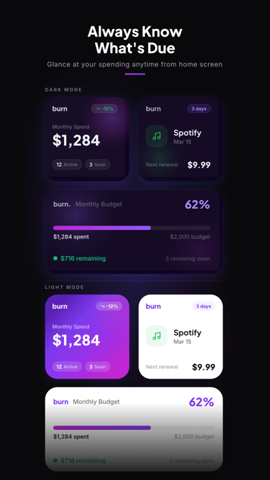 Subscription Tracker: Burn screenshot 4