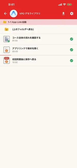 VPO screenshot 4