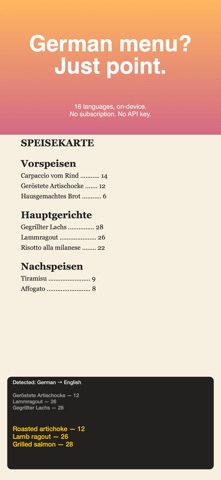 VizPeek: Magnifier & Reader Screenshot 4 of 5