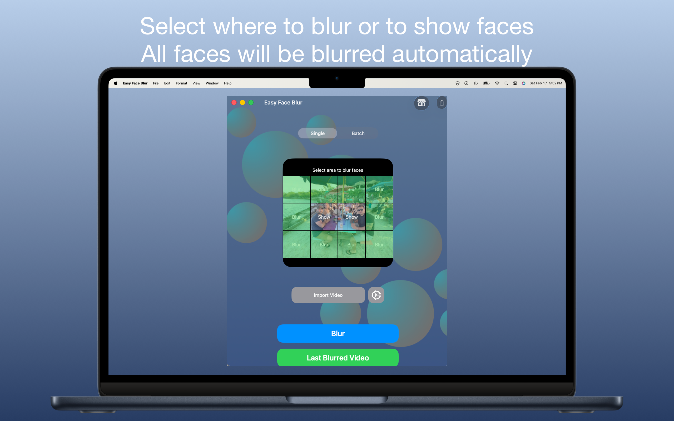 Easy Face Blur