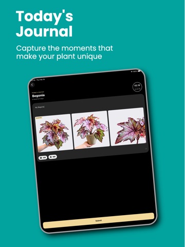 PlantOK: AI Plant Care iPad screenshot