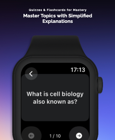 MemoNote: Quizzes & AI Summary