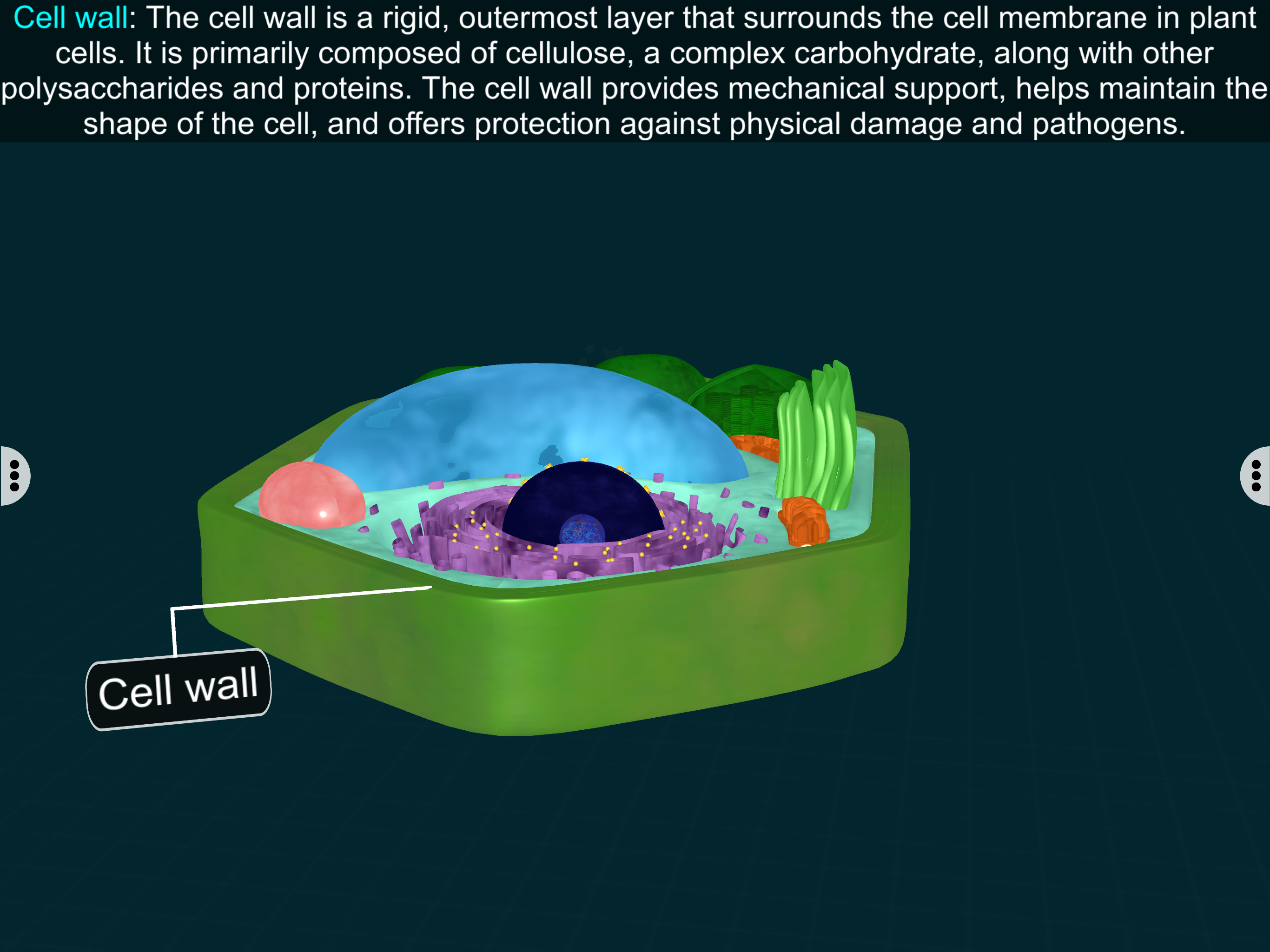 Plant Cell by EduTech Era screenshot 6