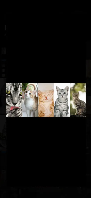 ShotMerge: Screenshot Stitcher screenshot 7 of 7