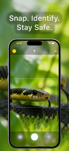 Snake identifier - Snakify screenshot