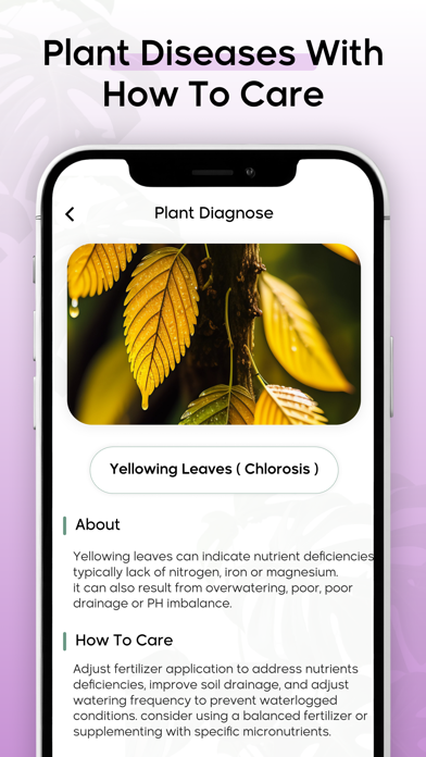 Ai Plant Identifire Plant Care Screenshot