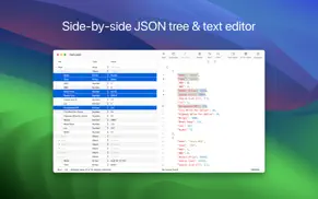 json editor iphone images 1