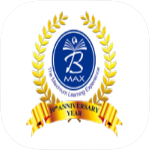 BeMax Academy
