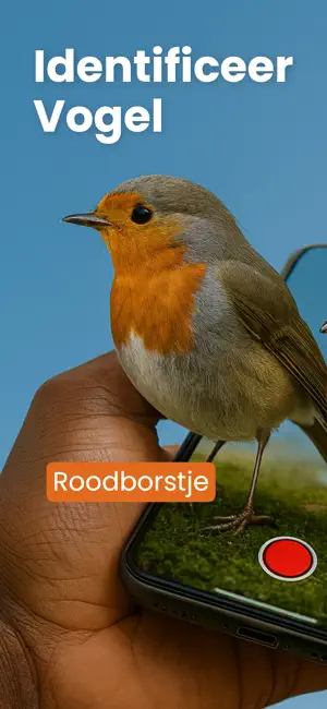 Vogels Herkennen AI - Birdby iPhone screenshot 1