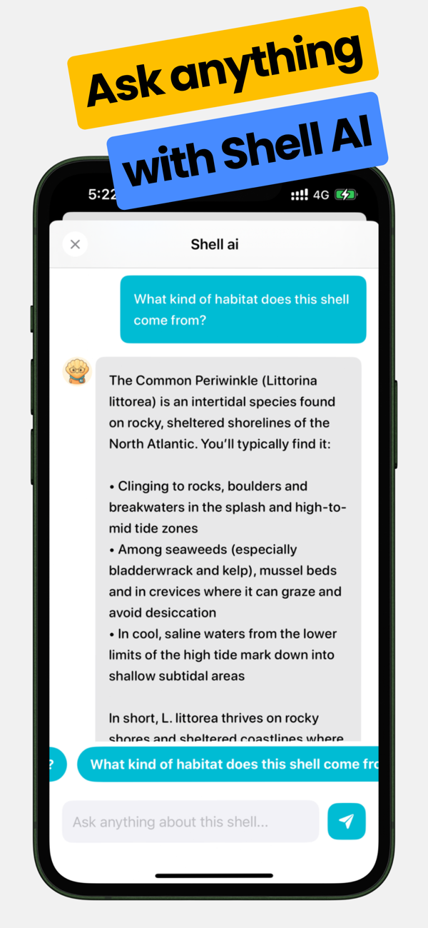 Sea Shell Identifier: Ocelexia - Ocelexia是个人贝壳识别及贝类学助手，拍照即可用AI瞬