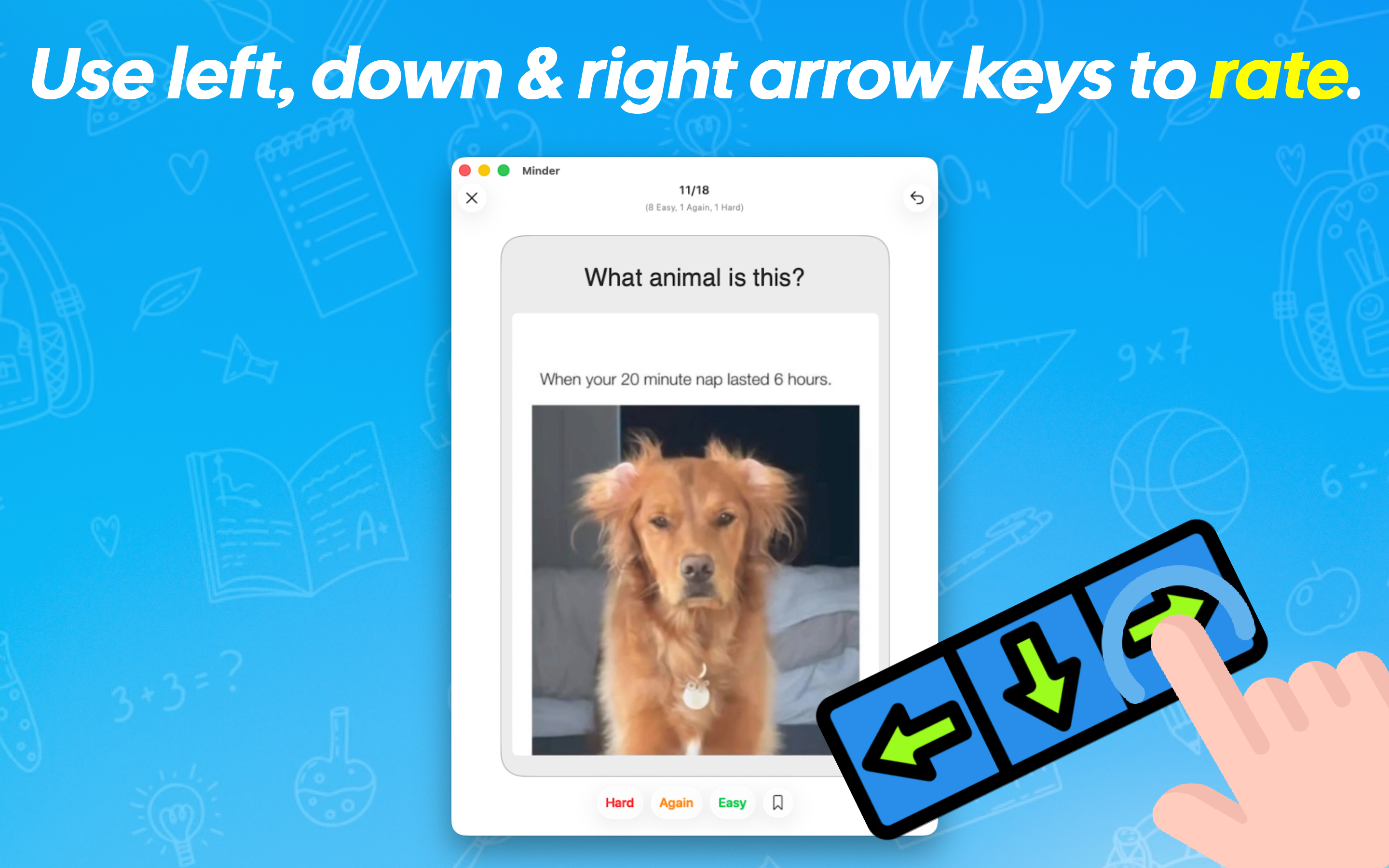 CRAMMER: Index Card Exam Maker screenshot 22