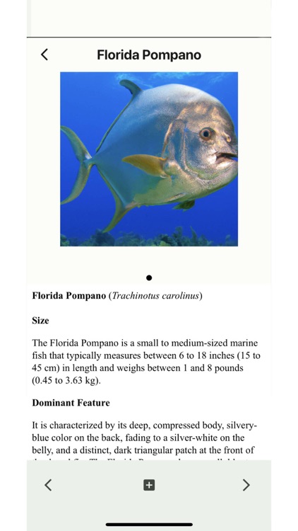 Wildlife of Florida screenshot-4