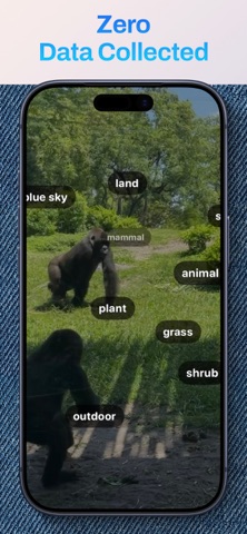 ditl - Auto Video Editor screenshot