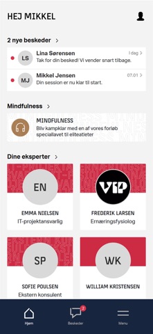Team Danmark screenshot