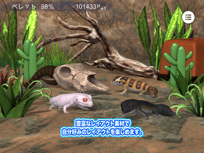 わたしのレオパードゲッコー