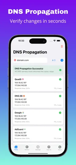 Capture d'écran de DNS Propagation sur iPhone 2