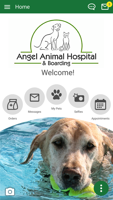Angel Animal Vet Screenshot