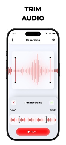 Call Recorder: 记录电话通话和语音备忘录 screenshot