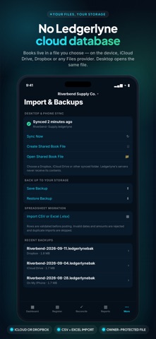 Ledgerlyne: Bookkeeping Screenshot 7 of 10