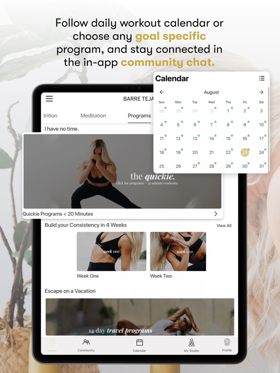 Barre Teja iPad screenshot 5 - Health & Fitness app