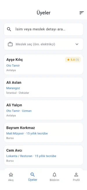 Aika Dernek screenshot 3