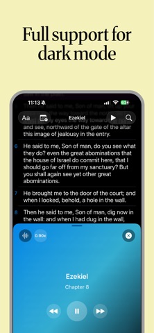 World English Bible OfflineAI iPhone screenshot