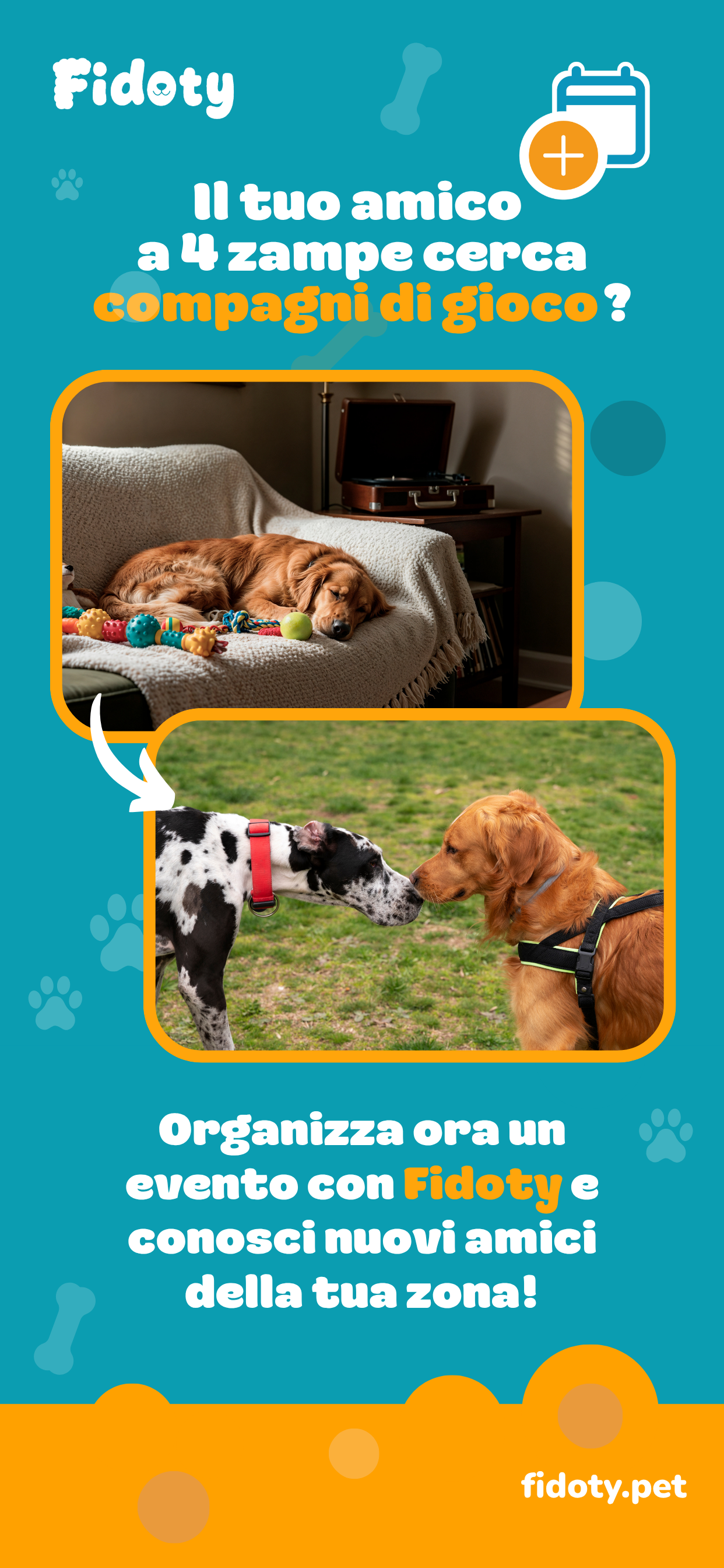 Fidoty