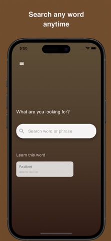Simple Dictionary iPhone screenshot