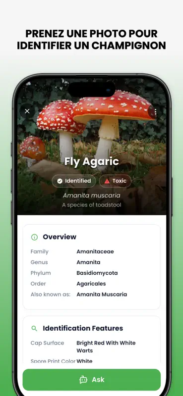 Champignon ID Expert - Mushby screenshot 3 of 8