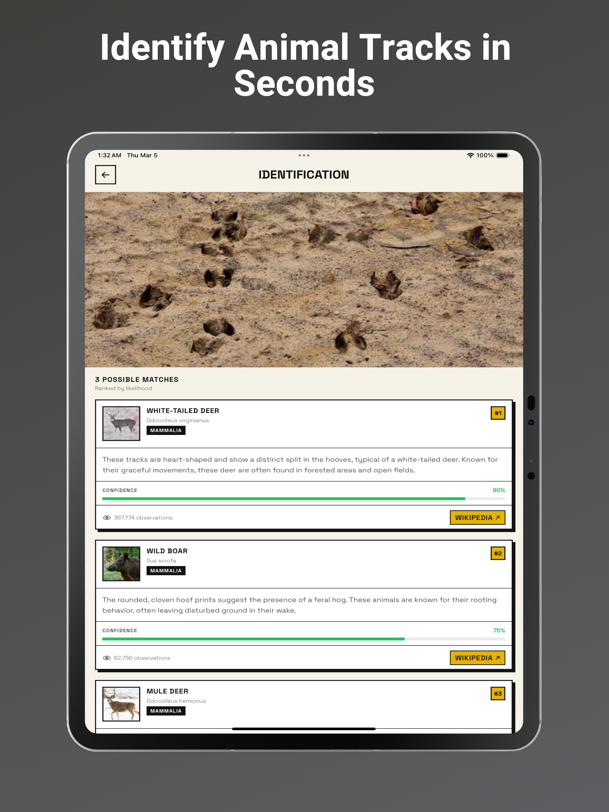 Animal Tracks Identifier: AI