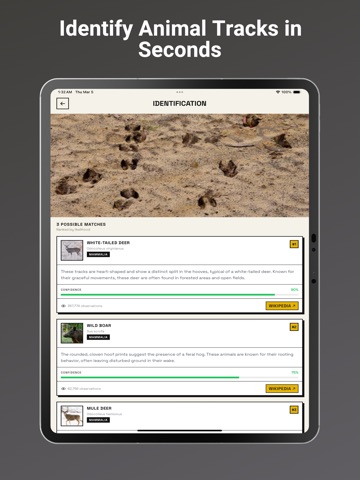Animal Tracks Identifier: AI