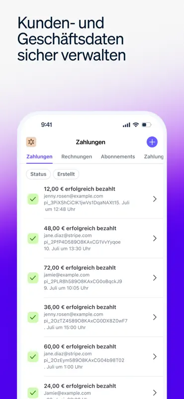 Stripe Dashboard screenshot 6 of 7