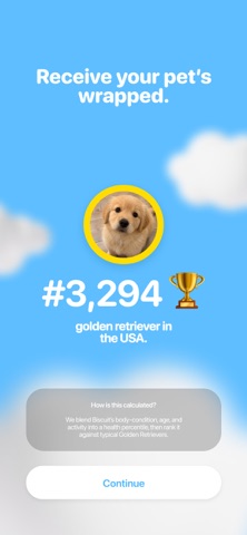 paws: pet wrapped Screenshot 7 of 7