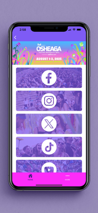 Osheaga Screenshot 3 of 4