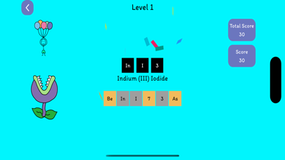 Hi Chemical ion Screenshot