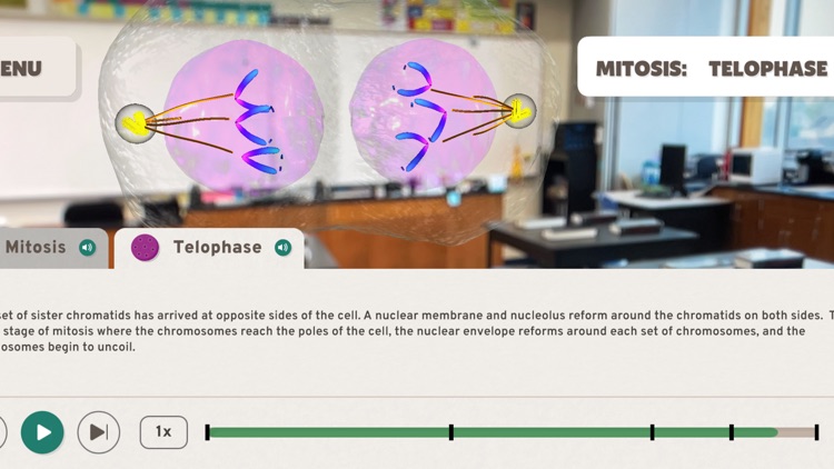 Step Into Biology screenshot-3