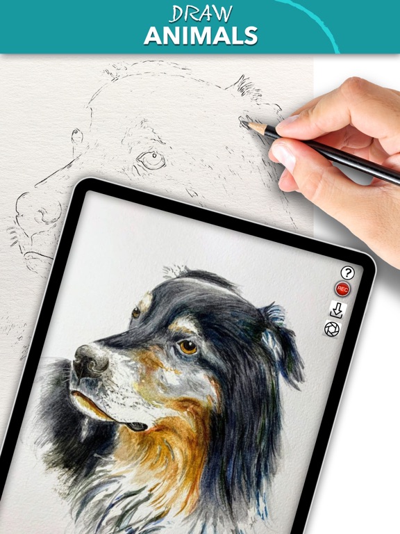 Screenshot #5 pour Camera Lucida™: AR Drawing