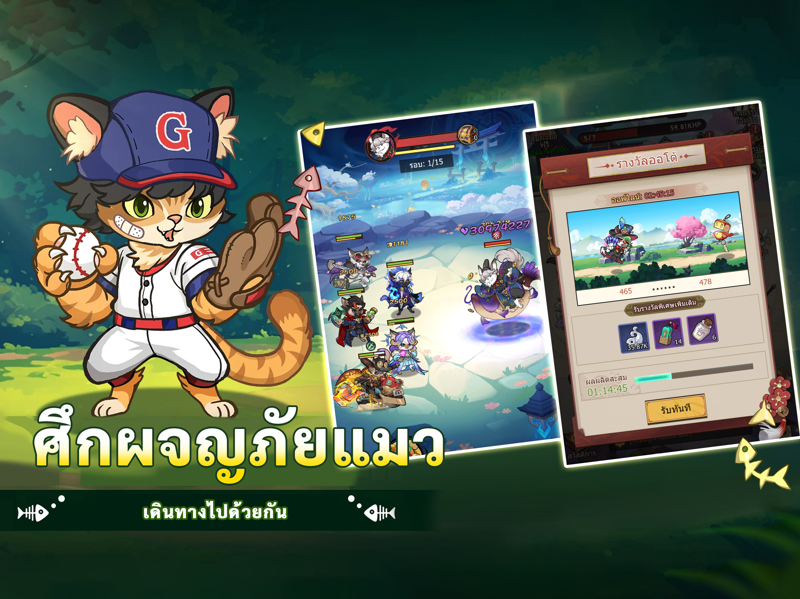 สามก๊กแมว