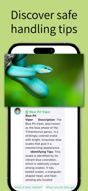 Snake Identifier Reptile ID screenshot 2