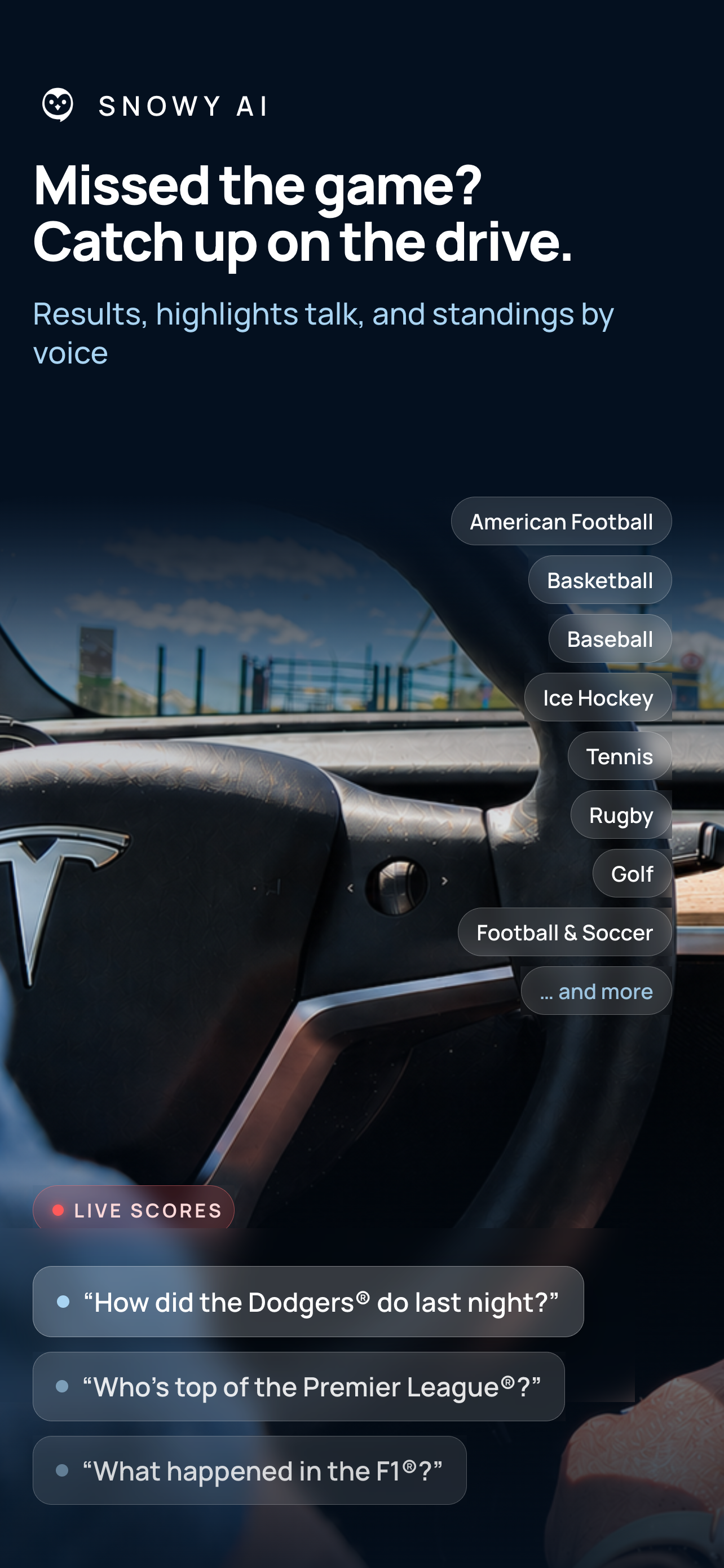 Snowy - AI Driving Assistant screenshot 5