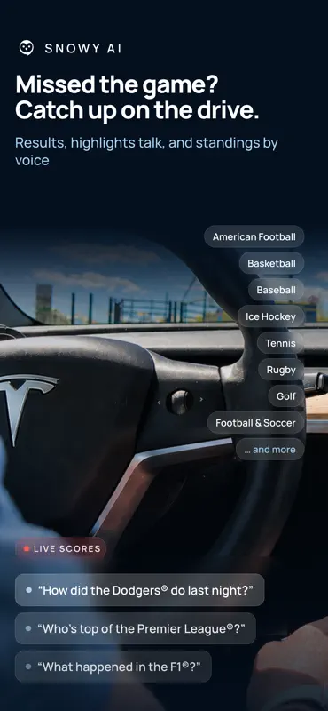 Snowy: AI Assistant for Tesla screenshot 5 of 6