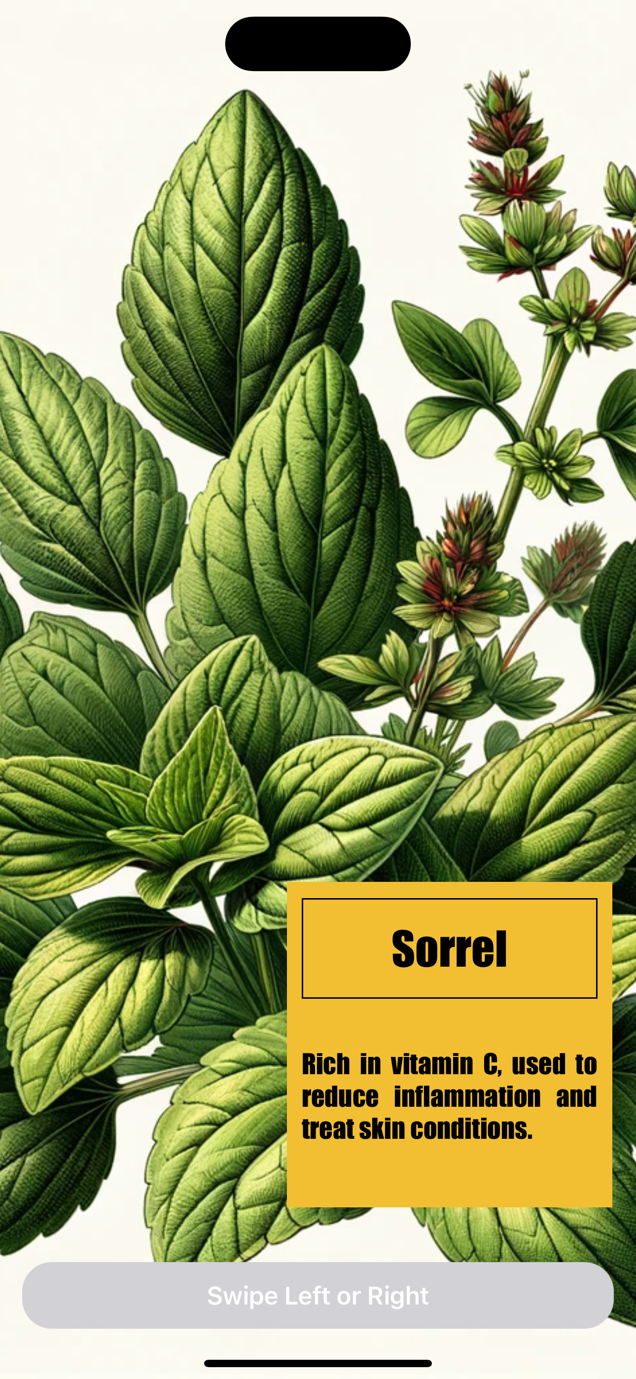 Herbs Atlas